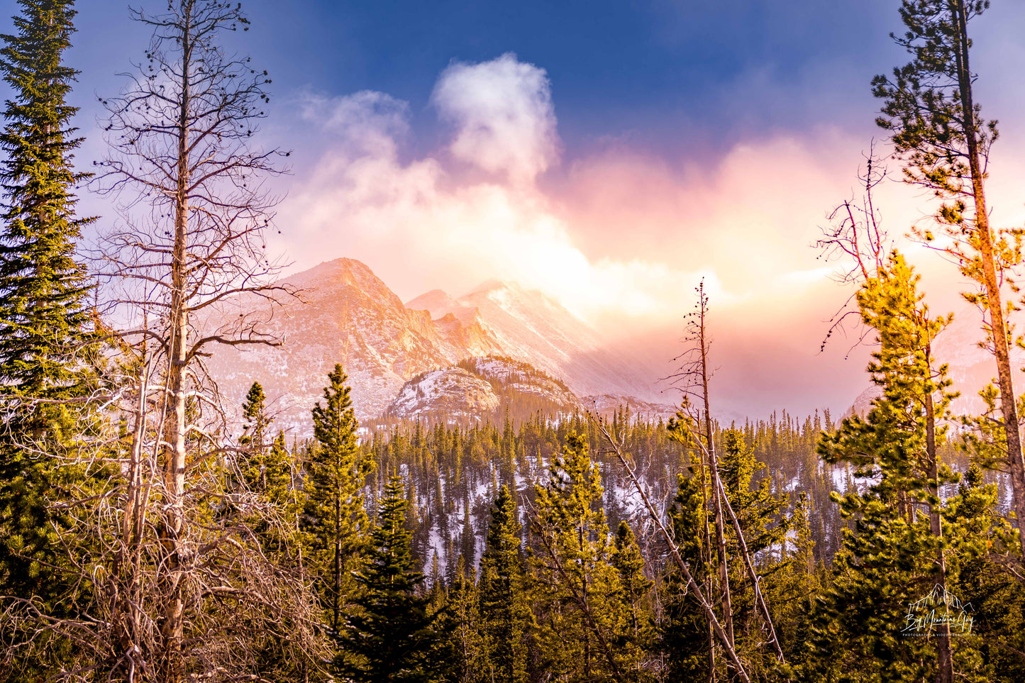 Golden Rockies