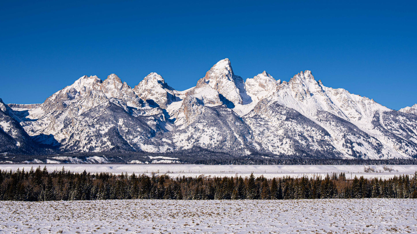 The Grand Teton